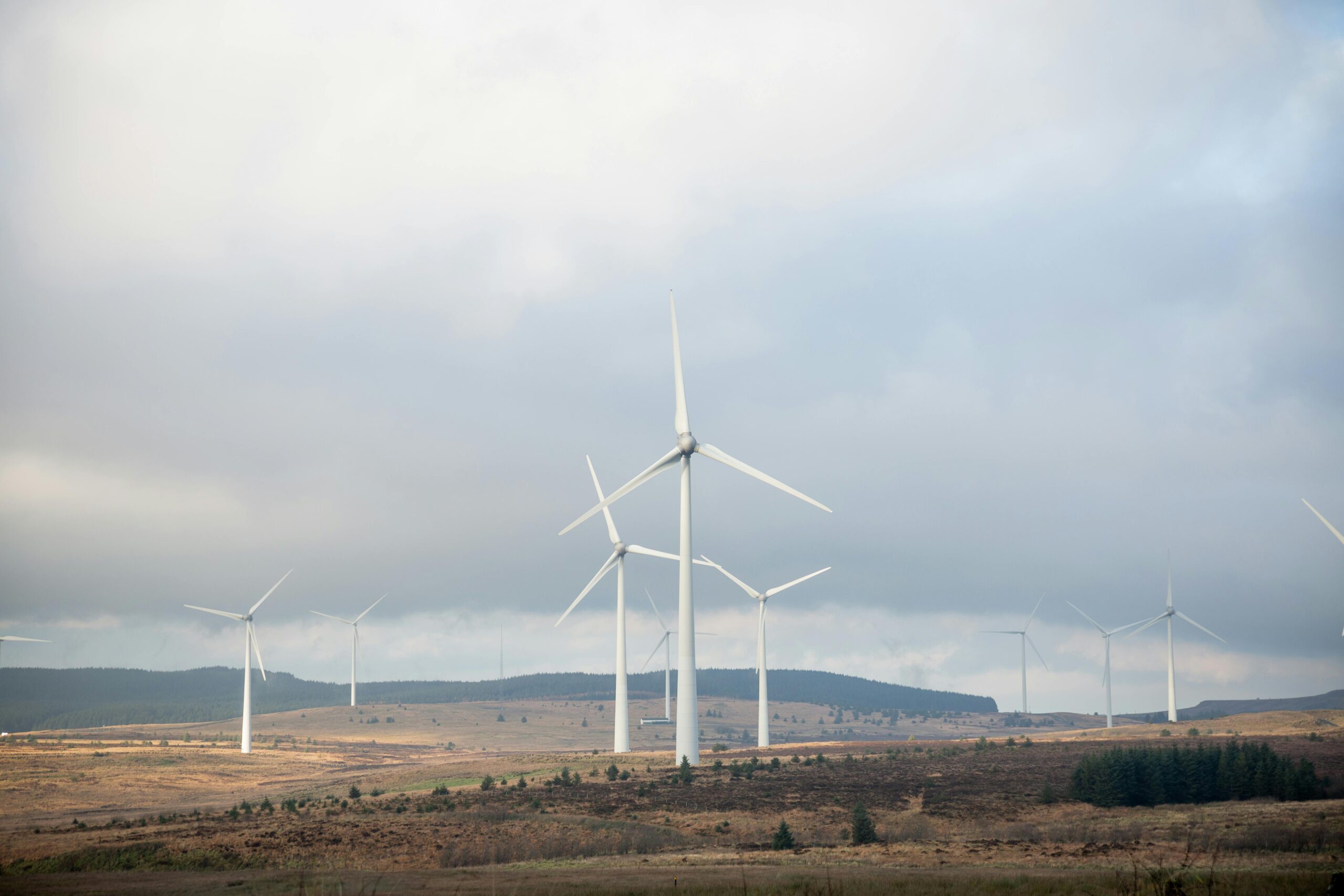 uk wind farm